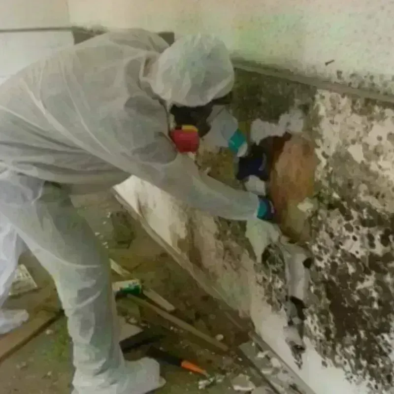 Mold Remediation and Removal in Middlesex County, VA